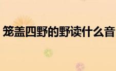 笼盖四野的野读什么音(笼盖四野的野的读音)