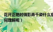 花开正艳时俏影弄千姿什么意思（花开正艳时俏影弄千姿如何理解呢）