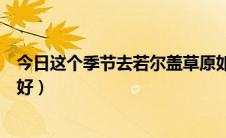 今日这个季节去若尔盖草原如何（若尔盖草原什么时候去最好）