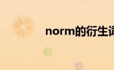 norm的衍生词(normdist)