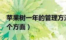 苹果树一年的管理方法（苹果树一年管理的6个方面）