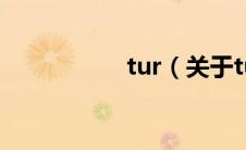 tur（关于tur的介绍）