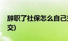 辞职了社保怎么自己交(辞职了社保怎么自己交)