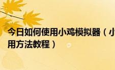 今日如何使用小鸡模拟器（小鸡模拟器怎么用 小鸡模拟器使用方法教程）