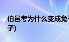 伯邑考为什么变成兔子(伯邑考为什么变成兔子)