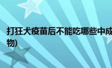 打狂犬疫苗后不能吃哪些中成药(打狂犬疫苗后不能吃哪些食物)