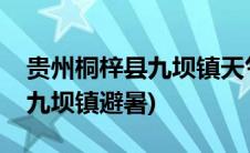 贵州桐梓县九坝镇天气预报新闻(贵州桐梓县九坝镇避暑)