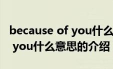 because of you什么意思（关于because of you什么意思的介绍）