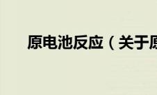 原电池反应（关于原电池反应的介绍）