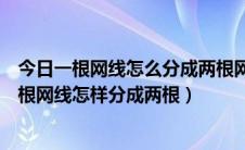 今日一根网线怎么分成两根网线（一根网线怎连两台电脑一根网线怎样分成两根）