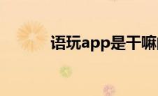 语玩app是干嘛的(语玩电脑版)