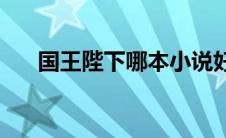 国王陛下哪本小说好看(国王陛下作品)