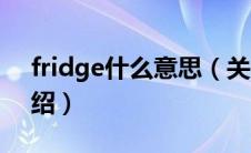 fridge什么意思（关于fridge什么意思的介绍）