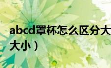 abcd罩杯怎么区分大小（abcd罩杯如何区分大小）