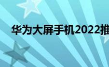 华为大屏手机2022推荐（华为大屏手机）