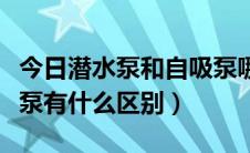 今日潜水泵和自吸泵哪种水量大（自吸泵潜水泵有什么区别）