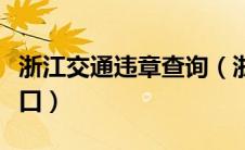 浙江交通违章查询（浙江交通违章查询网站入口）