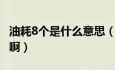 油耗8个是什么意思（英朗GT真实油耗是多少啊）