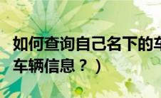 如何查询自己名下的车辆信息（怎么查名下的车辆信息？）