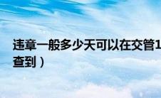 违章一般多少天可以在交管123查到（违章一般多少天可以查到）