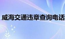 威海交通违章查询电话（威海交通违章查询）