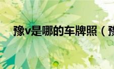 豫v是哪的车牌照（豫v是哪里的车牌号）