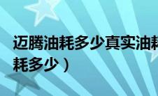 迈腾油耗多少真实油耗（大众迈腾2.0t真实油耗多少）