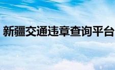 新疆交通违章查询平台（新疆交通违章查询）