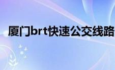 厦门brt快速公交线路（厦门brt是什么车）