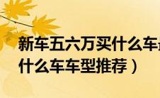 新车五六万买什么车最好（新车5万至6万有什么车车型推荐）