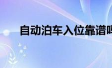 自动泊车入位靠谱吗（自动泊车入位）