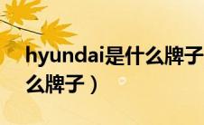 hyundai是什么牌子的空调（hyundai是什么牌子）