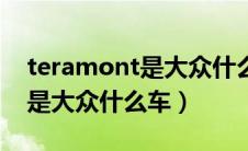 teramont是大众什么车多少钱（teramont是大众什么车）