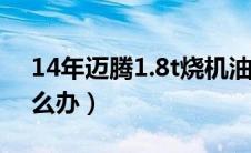 14年迈腾1.8t烧机油吗（迈腾1.8t烧机油怎么办）