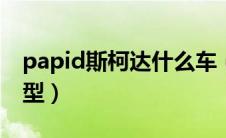 papid斯柯达什么车（rapid是斯柯达什么车型）