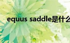 equus saddle是什么鞍（equus是啥车）