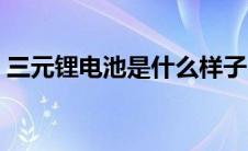 三元锂电池是什么样子（三元锂电池是什么）