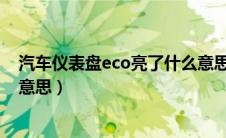 汽车仪表盘eco亮了什么意思（汽车仪表盘感叹号亮起什么意思）