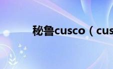 秘鲁cusco（cusco品牌是什么）