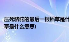 压死骆驼的最后一根稻草是什么意思(压死骆驼的最后一根稻草是什么意思)