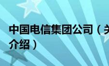 中国电信集团公司（关于中国电信集团公司的介绍）