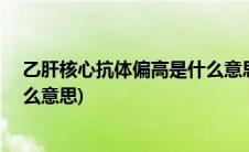 乙肝核心抗体偏高是什么意思0.10(乙肝核心抗体偏高是什么意思)