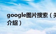 google图片搜索（关于google图片搜索的介绍）