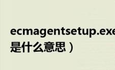 ecmagentsetup.exe是什么软件（ecm故障是什么意思）