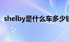 shelby是什么车多少钱（shelby是什么车）