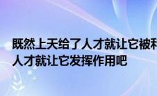 既然上天给了人才就让它被利用吧评论说我想既然上天给了人才就让它发挥作用吧