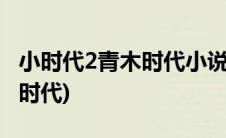 小时代2青木时代小说在线阅读(小时代2 青木时代)