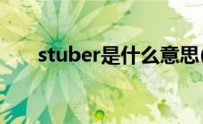 stuber是什么意思(Uber是什么意思)