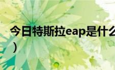 今日特斯拉eap是什么意思（EAP是什么意思）