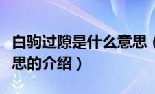 白驹过隙是什么意思（关于白驹过隙是什么意思的介绍）